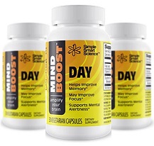 MindBoost™ Day