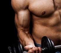 5 Of The Best Muscle Building Exercises For Beginners