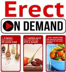 Erect On Demand Review