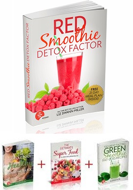 Red Smoothie Detox Factor System