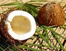 The Benefits Of Coconut Oil – A Wonderful Gift From Nature