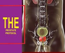 The Prostate Protocol by Scott Davis [Updated 2021 Review]