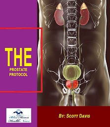 The Prostate Protocol