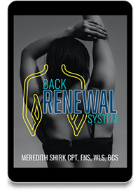 Back Renewal System